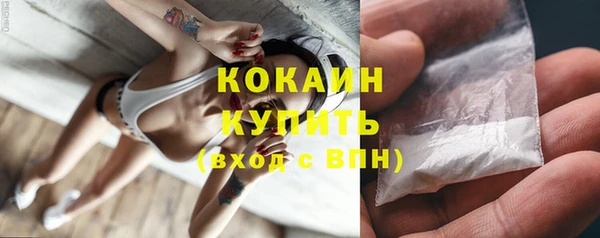 МДПВ Пересвет
