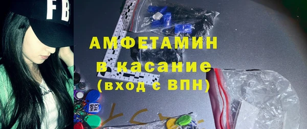 МДПВ Пересвет