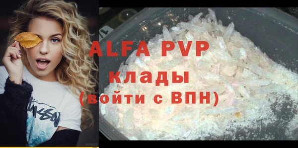 МДПВ Пересвет